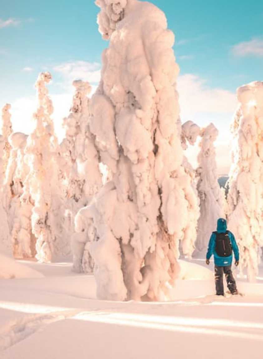 Ylläs